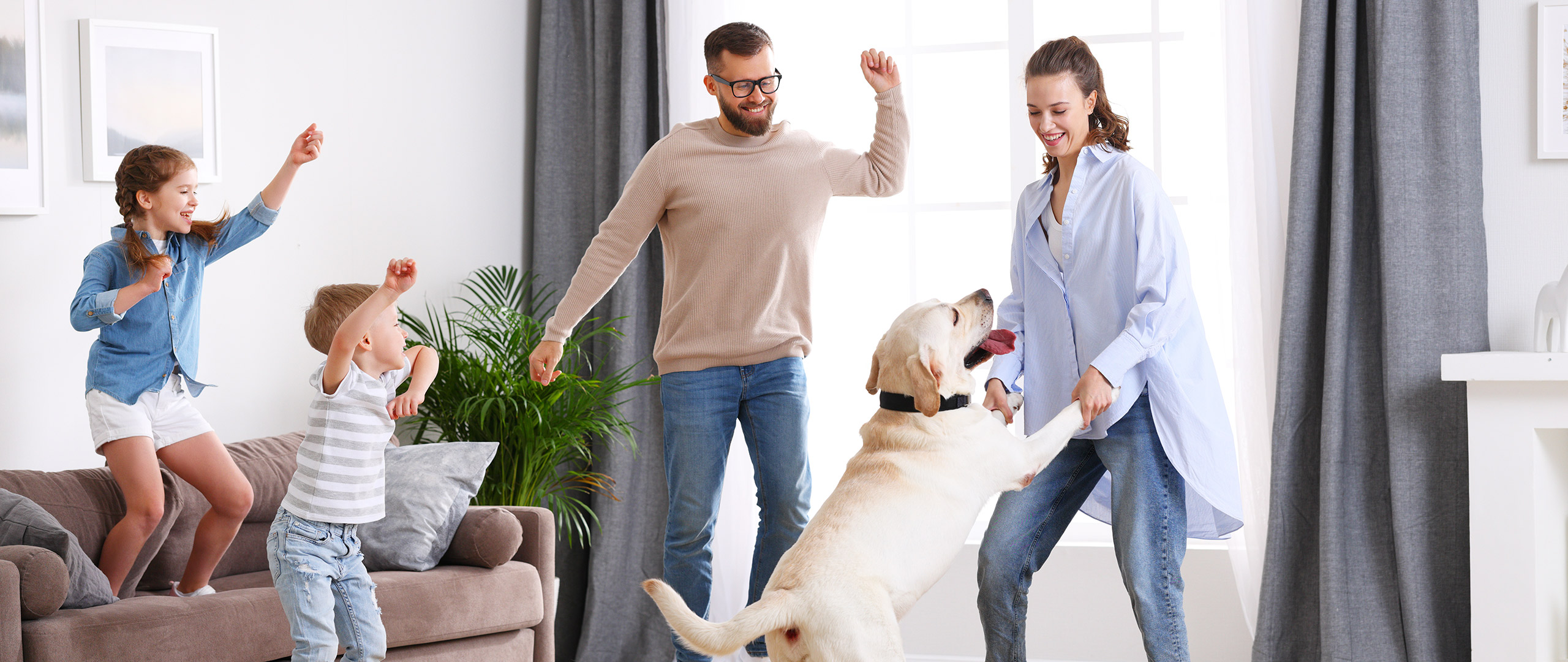 ipo-banner-eigenmarken